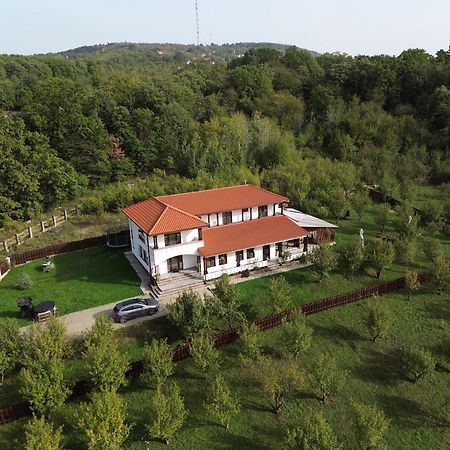 Barnova Pensiunea Emelys, Iasi מראה חיצוני תמונה
