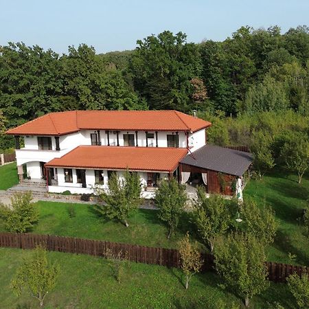 Barnova Pensiunea Emelys, Iasi מראה חיצוני תמונה