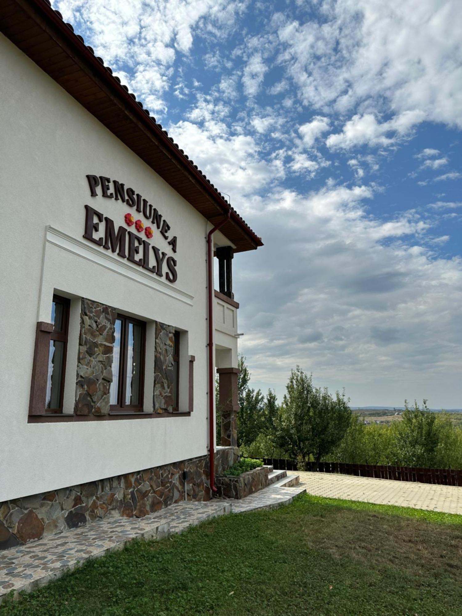 Barnova Pensiunea Emelys, Iasi מראה חיצוני תמונה
