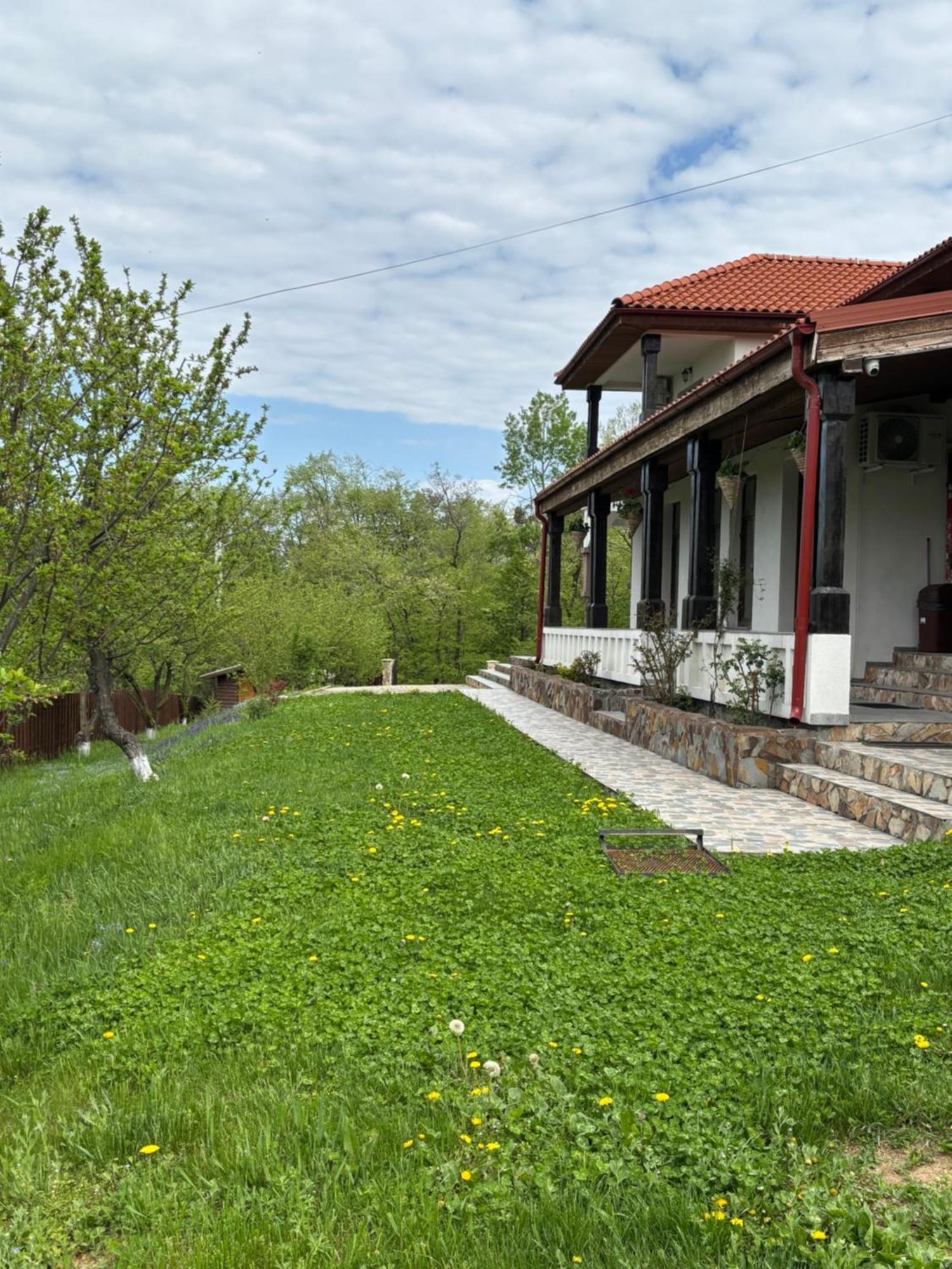 Barnova Pensiunea Emelys, Iasi מראה חיצוני תמונה