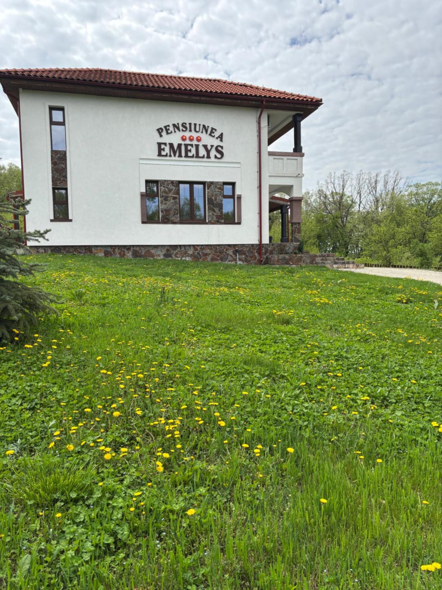 Barnova Pensiunea Emelys, Iasi מראה חיצוני תמונה
